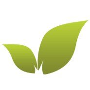 Site icon